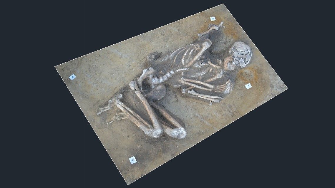 Ein perfekt erhaltenes Skelett eines frühen Bauern in Polen